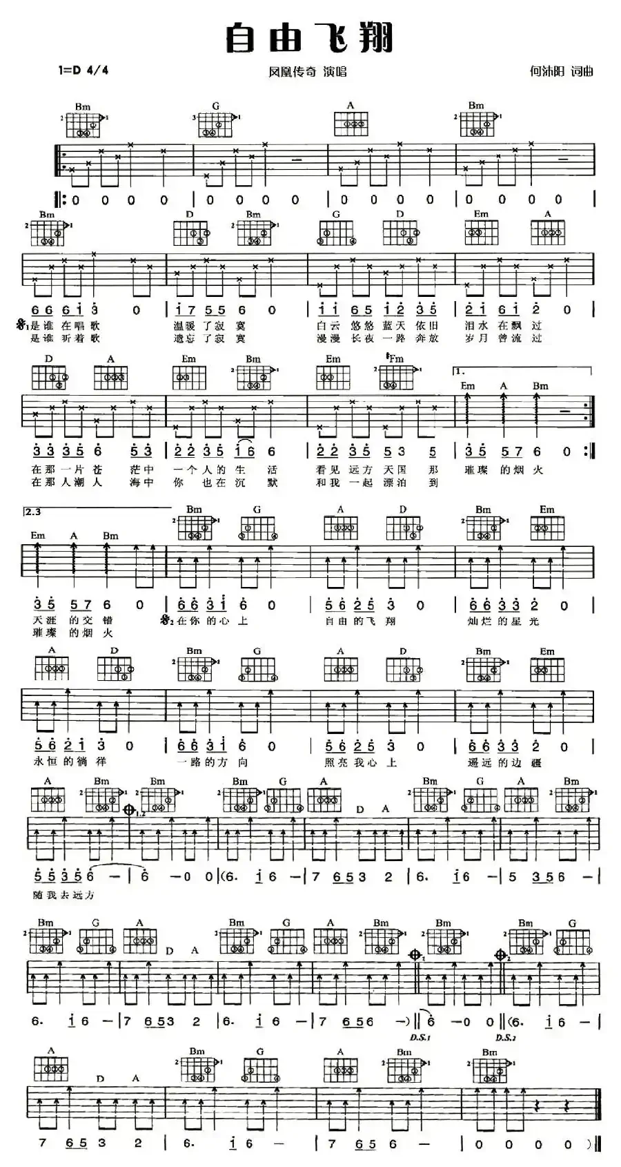 自由飞翔(何沐阳词曲)