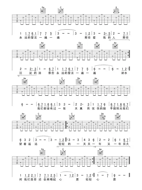 心愿（王泽词曲、觉心Guitar 制谱版）