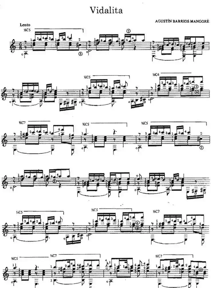 Vidalita（古典吉他）