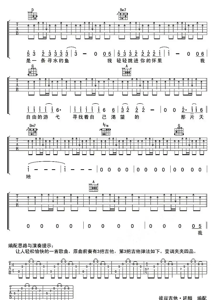 寻水的鱼