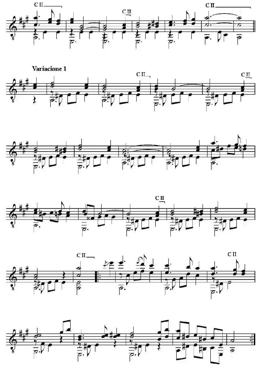 EL CARNAVAL DE VENECIA(Grande variaciones sobre un tema de Niccolo Paganini)（古典吉他）