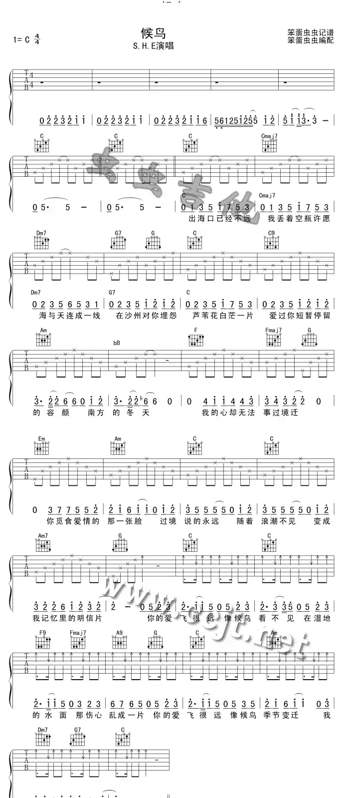 候鸟(S.H.E 演唱版)