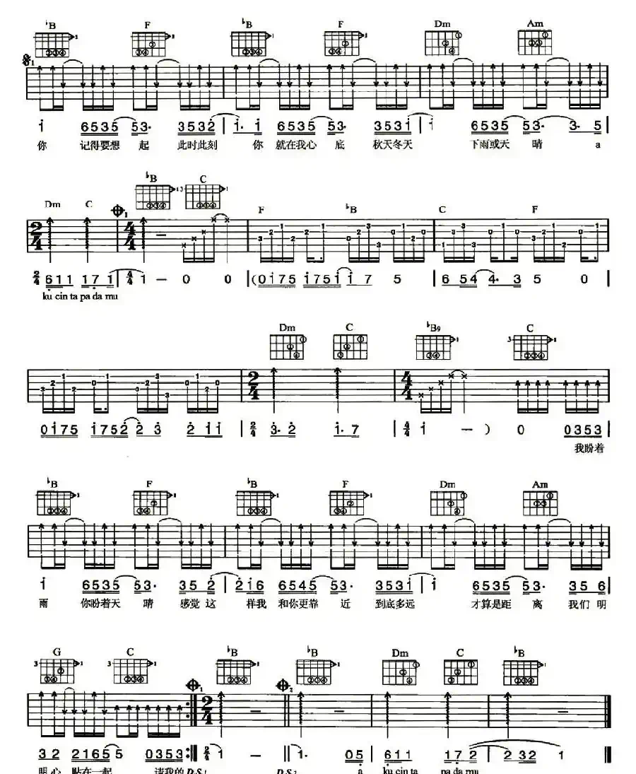 天天天天说爱你