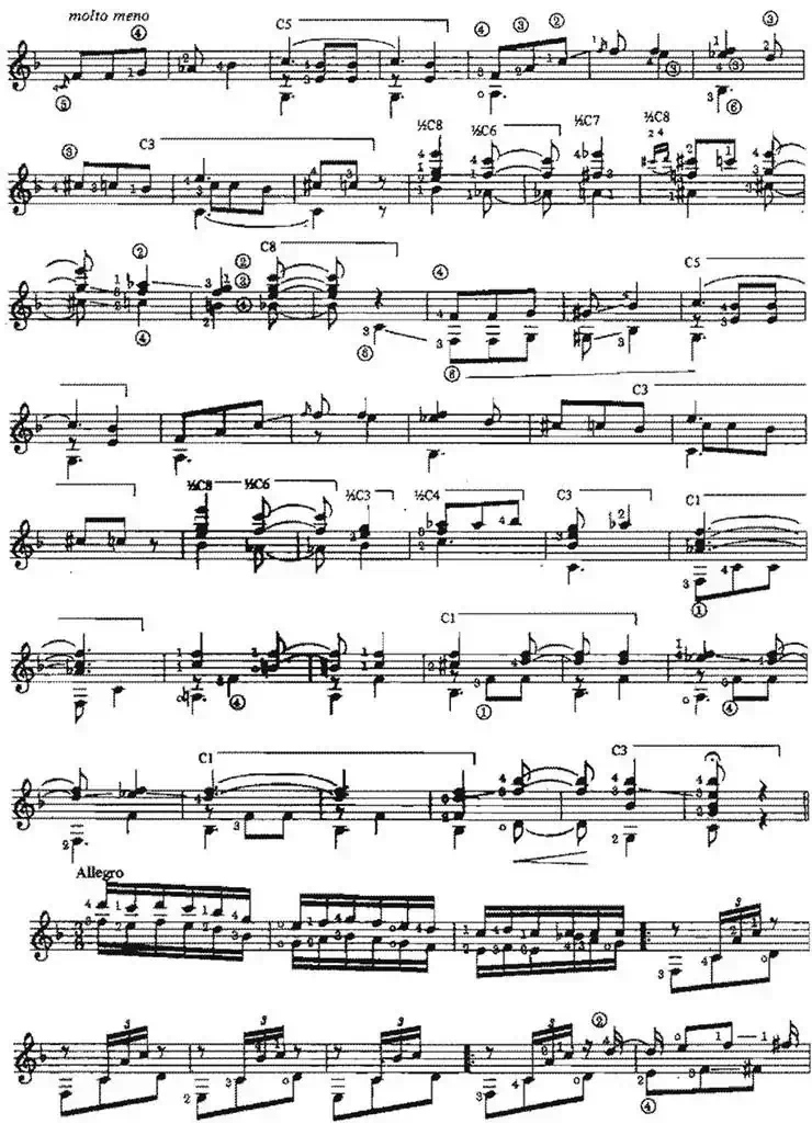 Pericon（古典吉他）