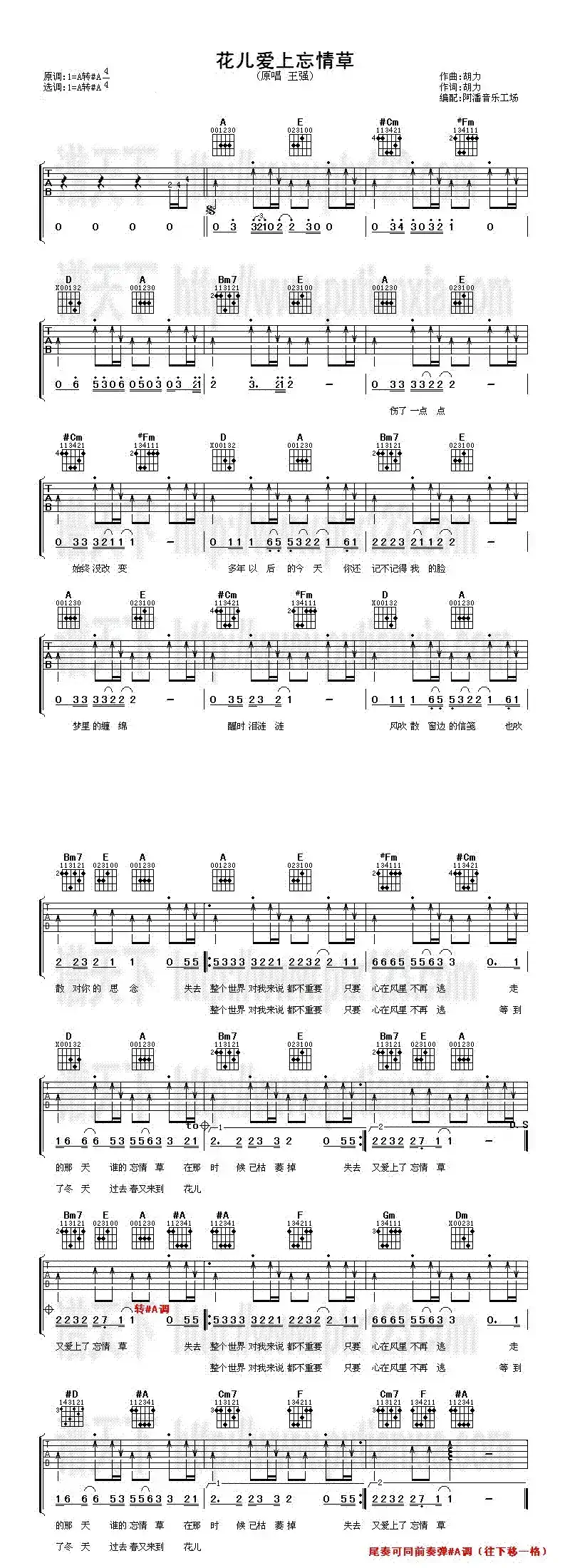 花儿爱上忘情草