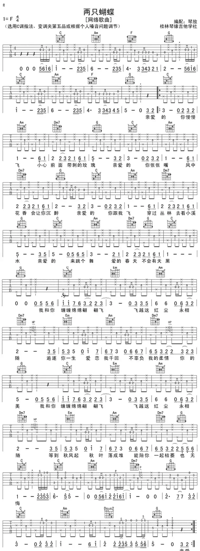 两只蝴蝶(琴放编配版)