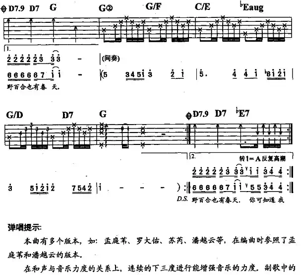 野百合也有春天（李刚编配版）