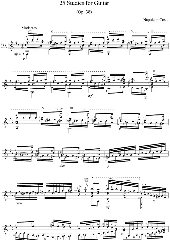 Napoleon Coste《25 Studies,Op.38》（STUDY 19）
