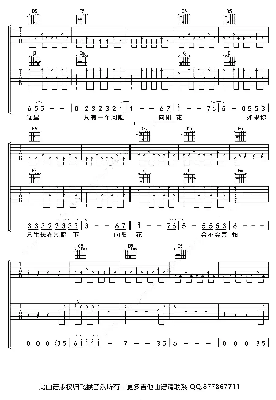 向阳花（G调双吉他版）