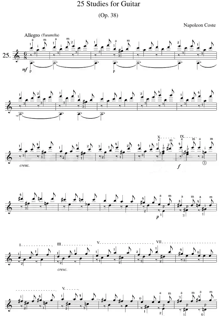 Napoleon Coste《25 Studies,Op.38》（STUDY 25）