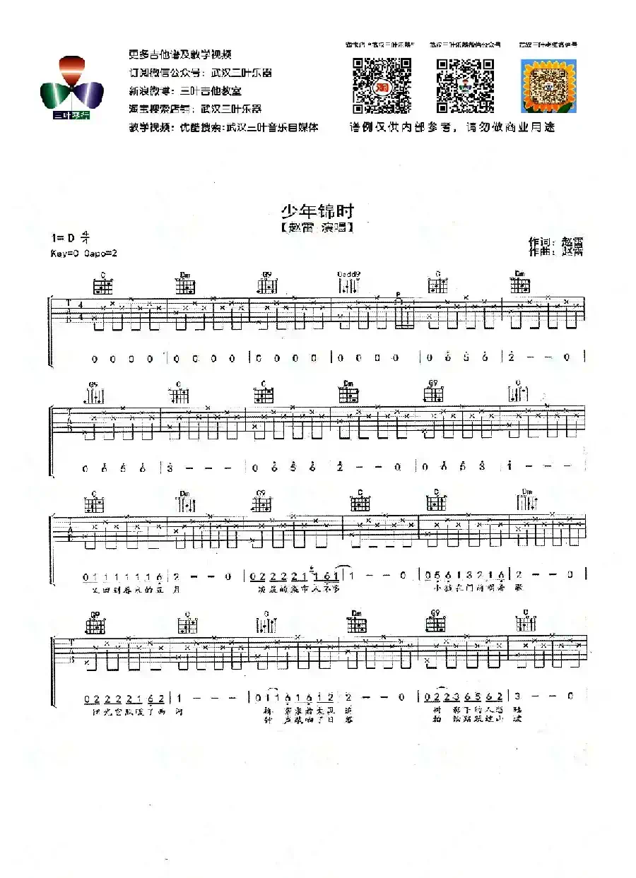 少年锦时（武汉三叶乐器编配版）