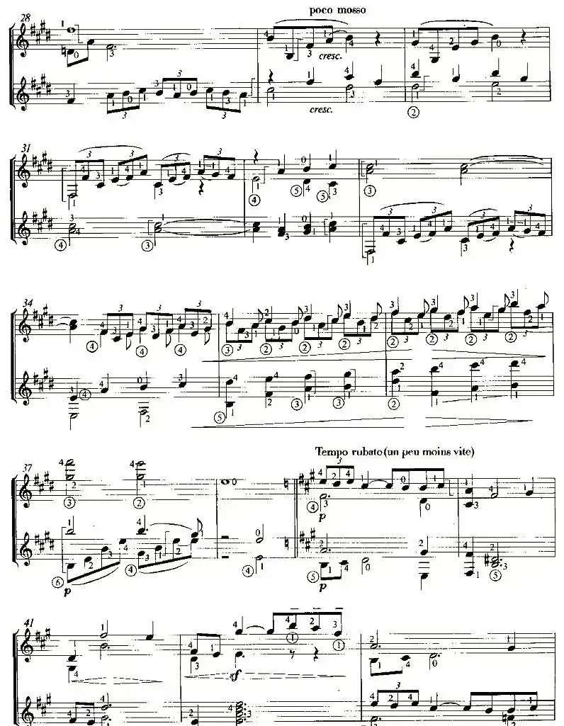 Iere ARABESQUE（双吉他）