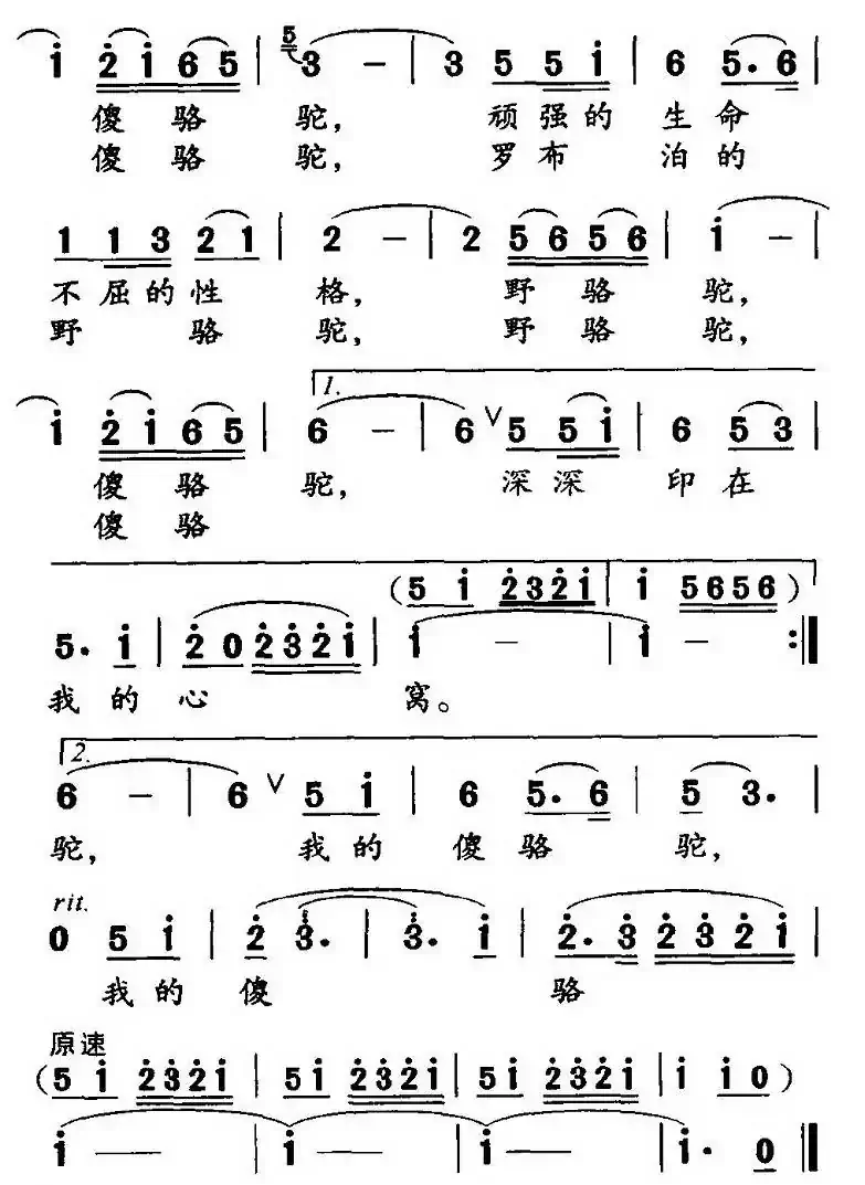 野骆驼 傻骆驼（高枫词 胡绍正曲）