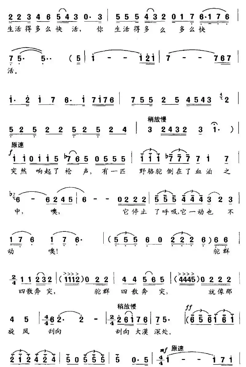 野骆驼