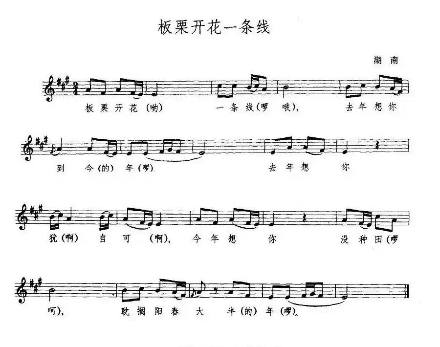 板栗开花一条线(五线谱)