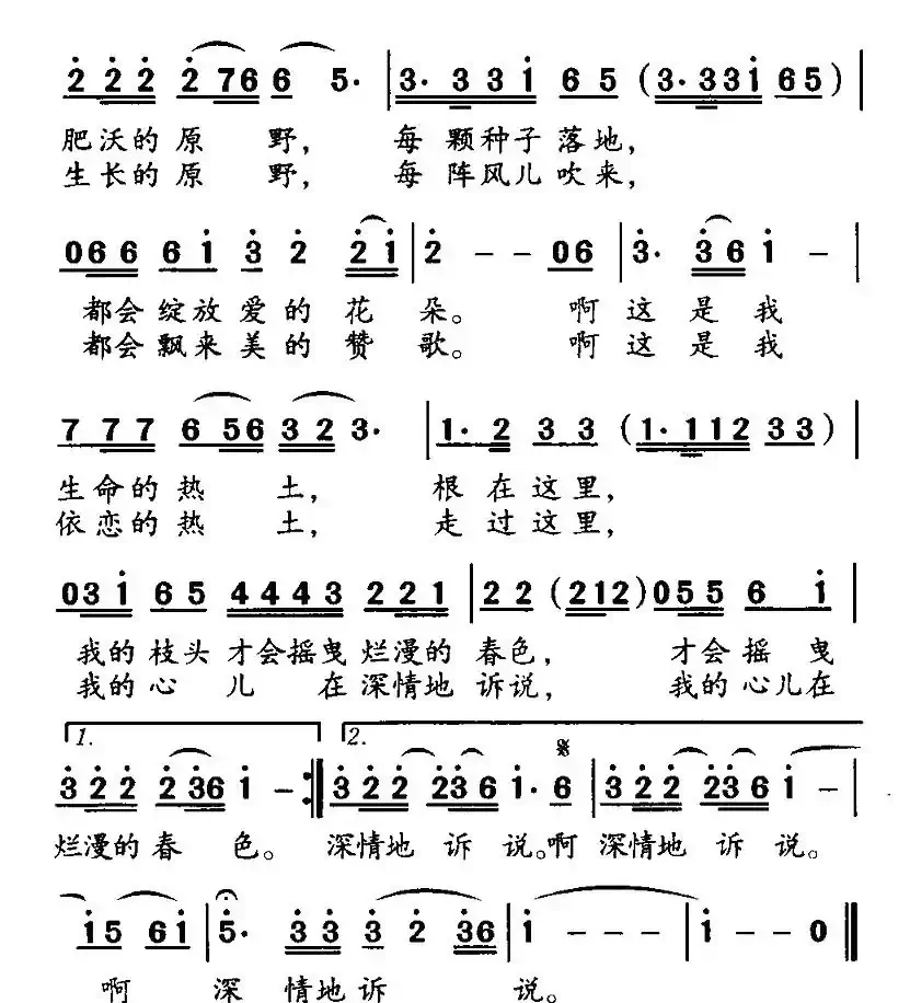 根在这片热土