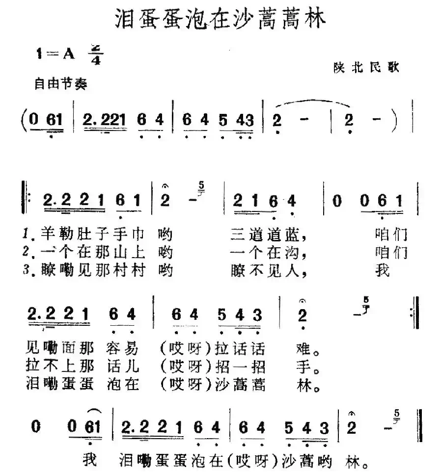 泪蛋蛋泡在沙蒿蒿林