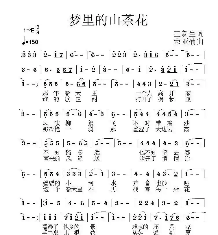 梦中的山茶花