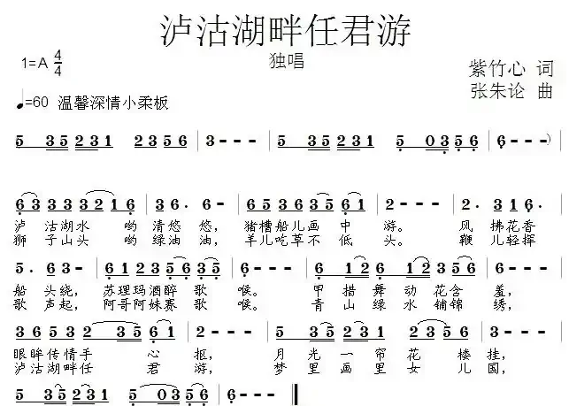 泸沽湖畔任君游