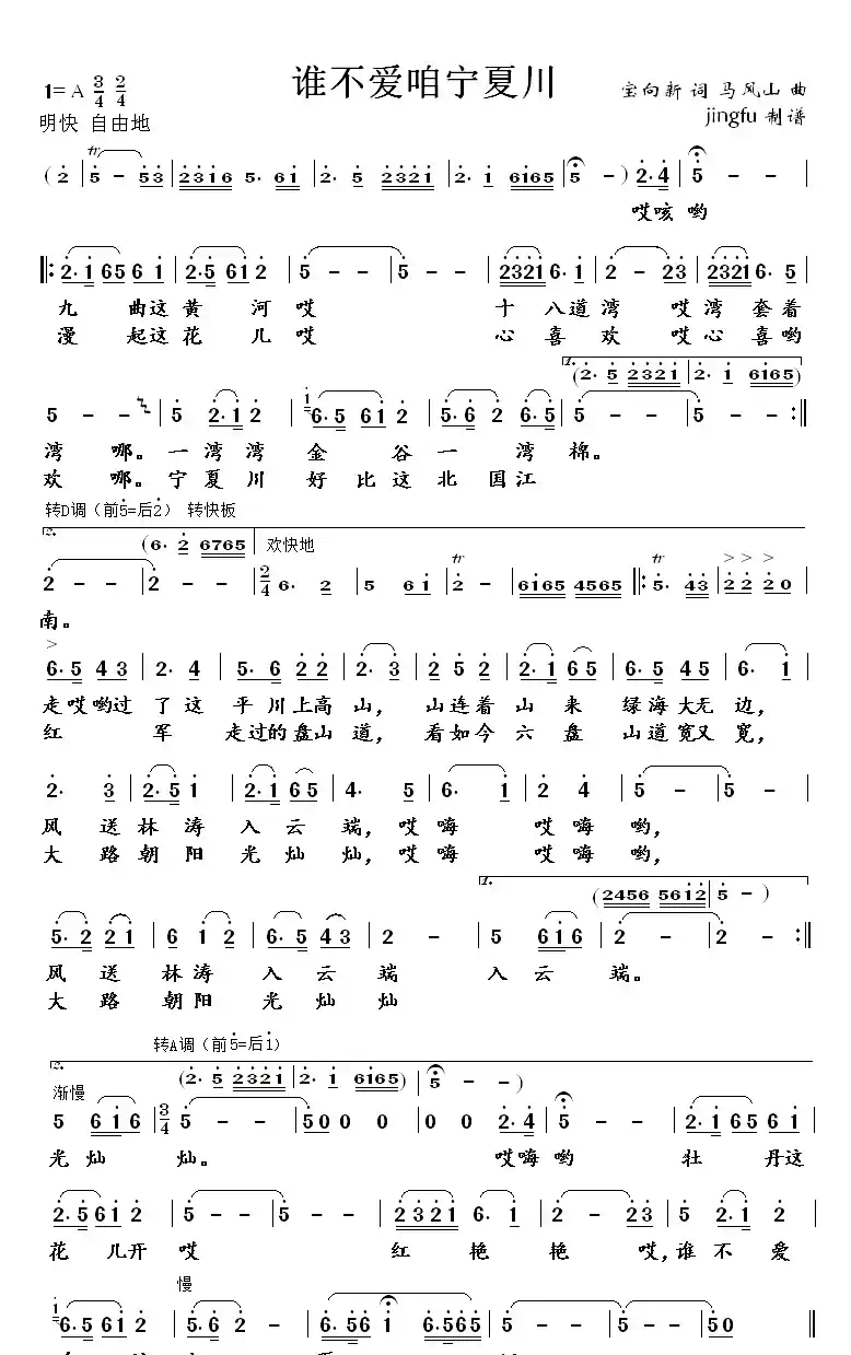 谁不爱咱宁夏川