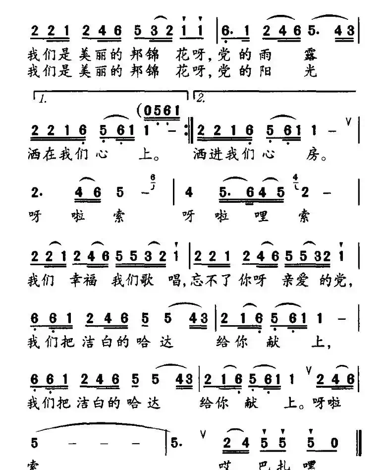 美丽的邦锦花儿开了