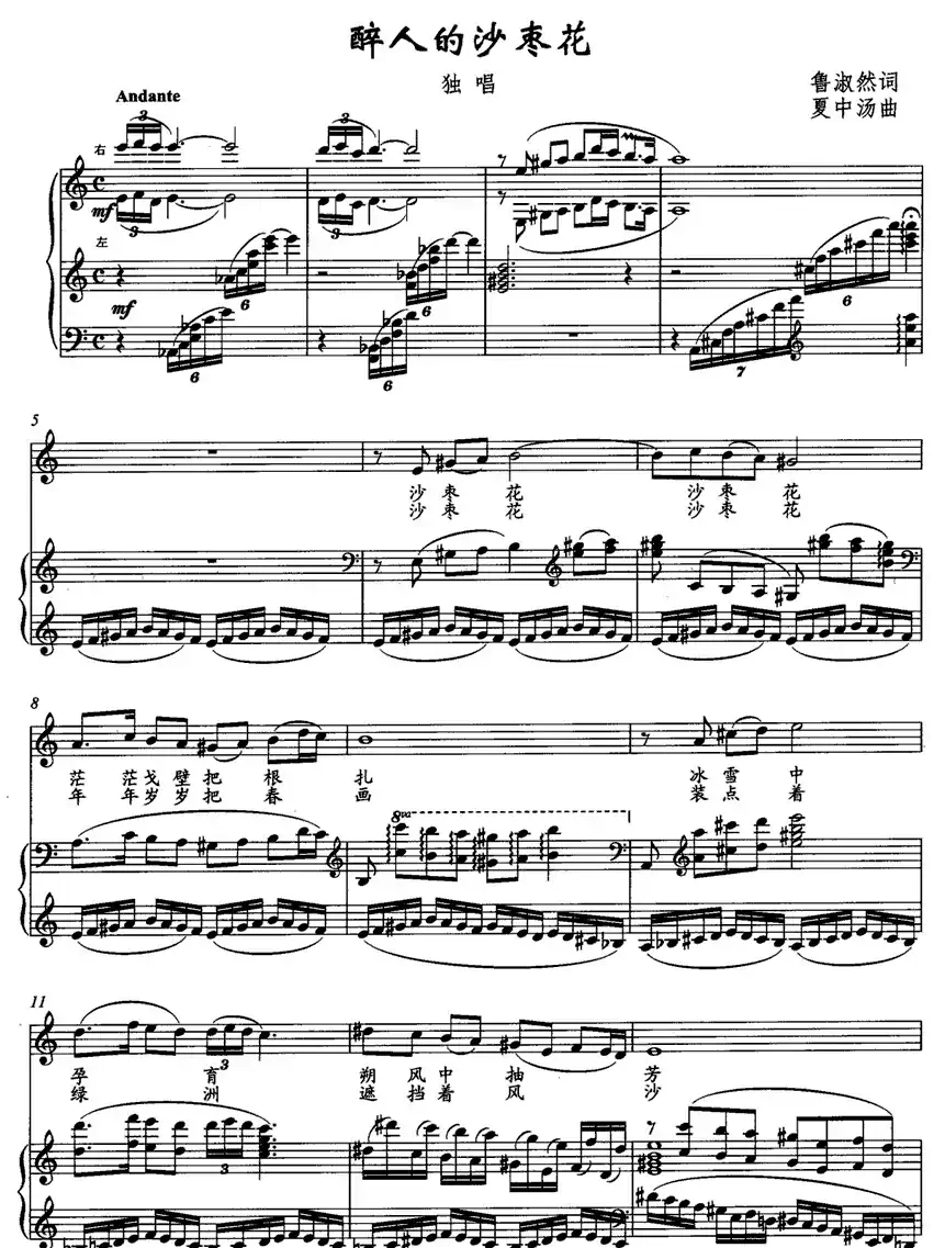 醉人的沙枣花（正谱）