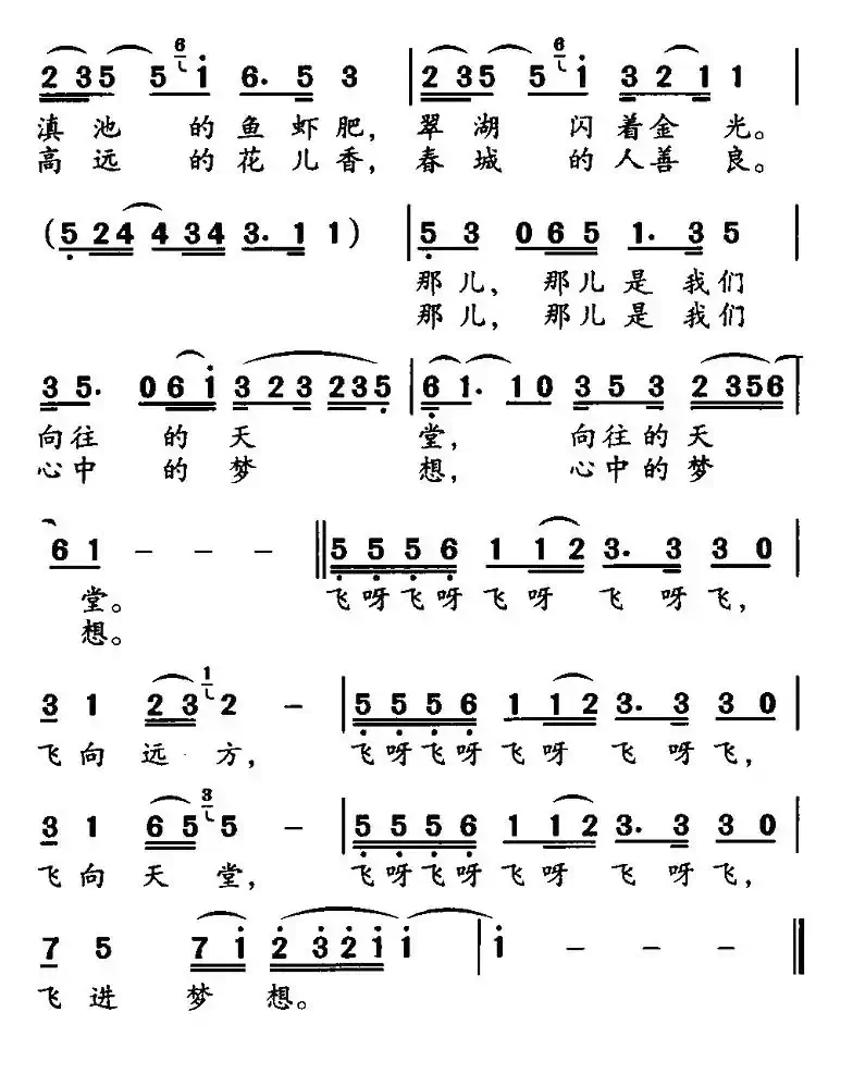 红嘴鸥之梦
