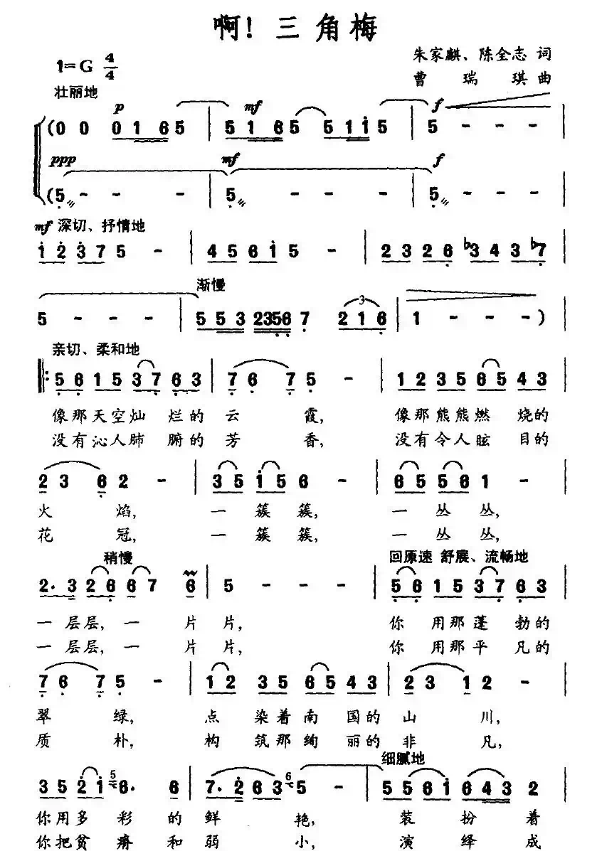 啊！三角梅