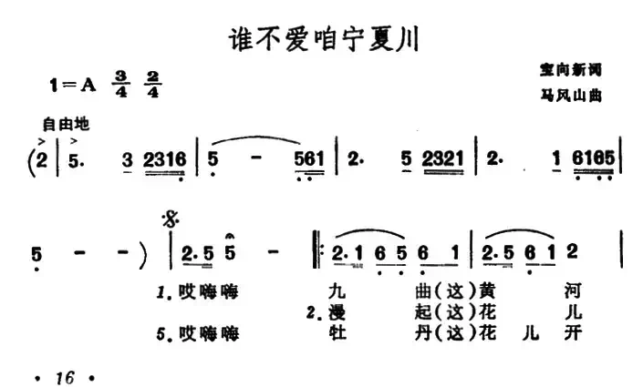 谁不爱咱宁夏川
