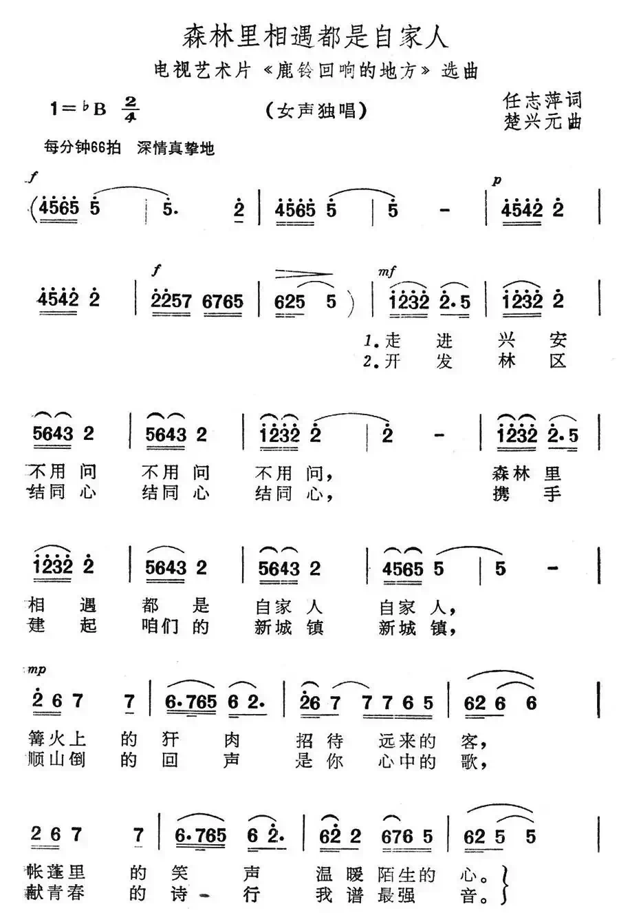 森林里相遇都是自家人（电视艺术片《鹿铃回响起地方》选曲）