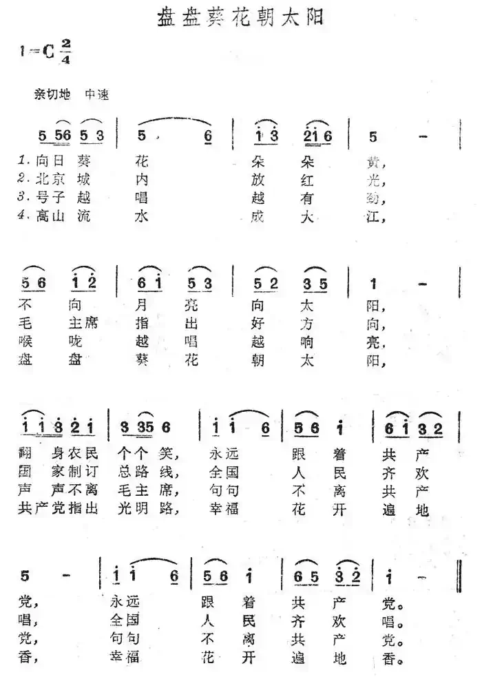 盘盘葵花朝太阳