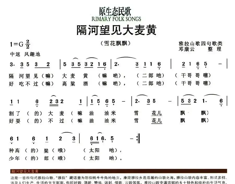 隔河望见大麦黄（又名：雪花飘飘）