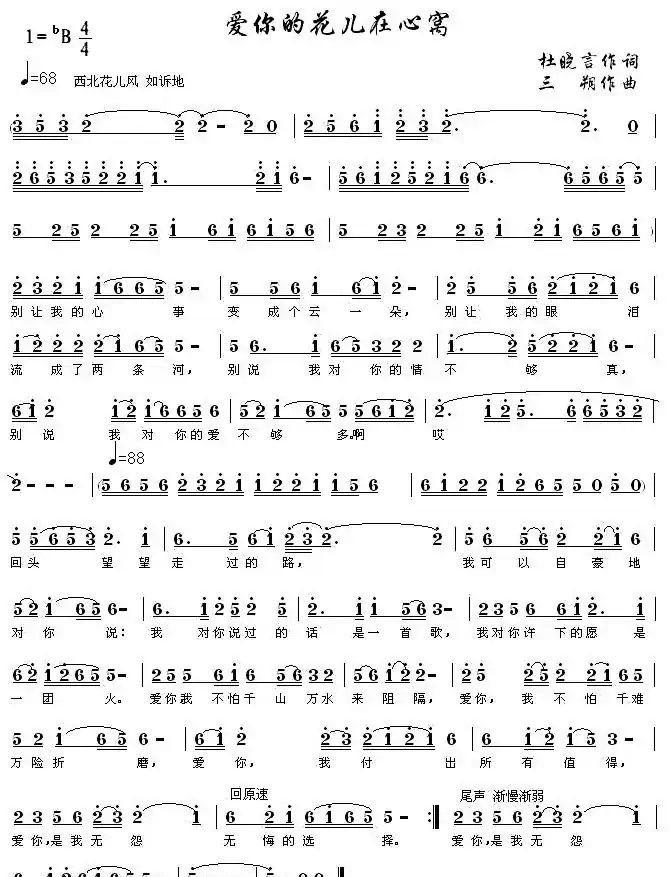 爱你的花儿在心窝