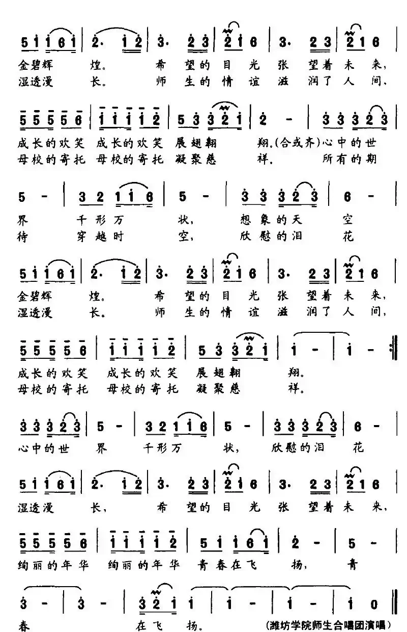 绚丽年华 青春在飞扬（大型电视主题晚会《绚丽年华》主题歌）