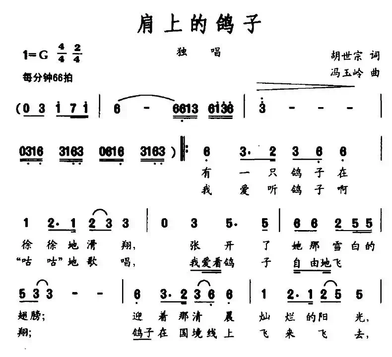 肩上的鸽子