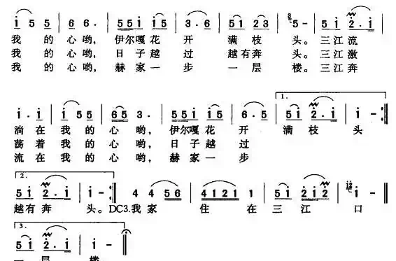 伊尔嘎花开满枝头