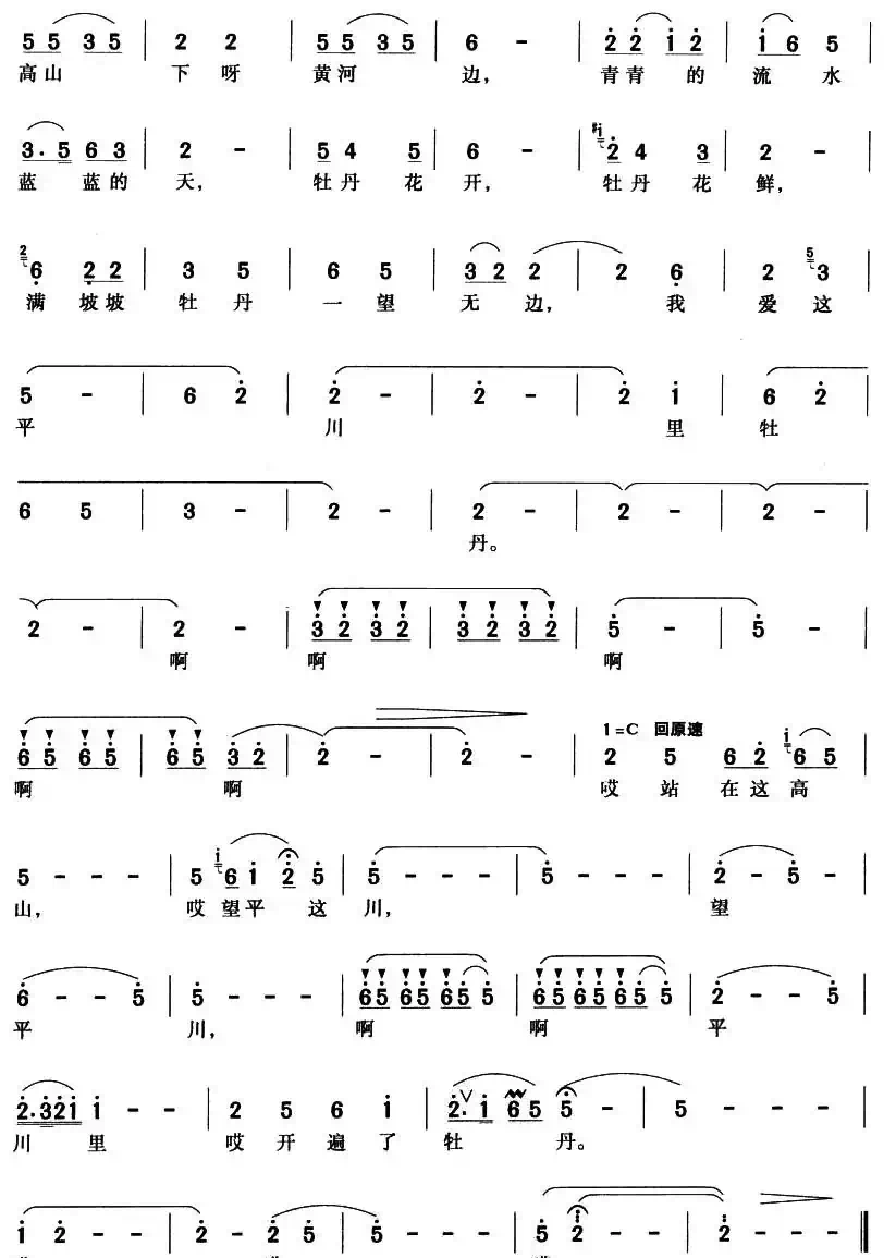 我爱这川里的牡丹