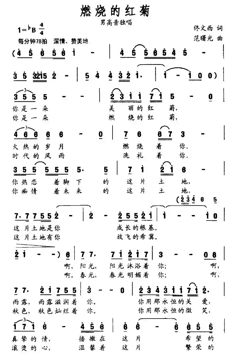 燃烧的红菊