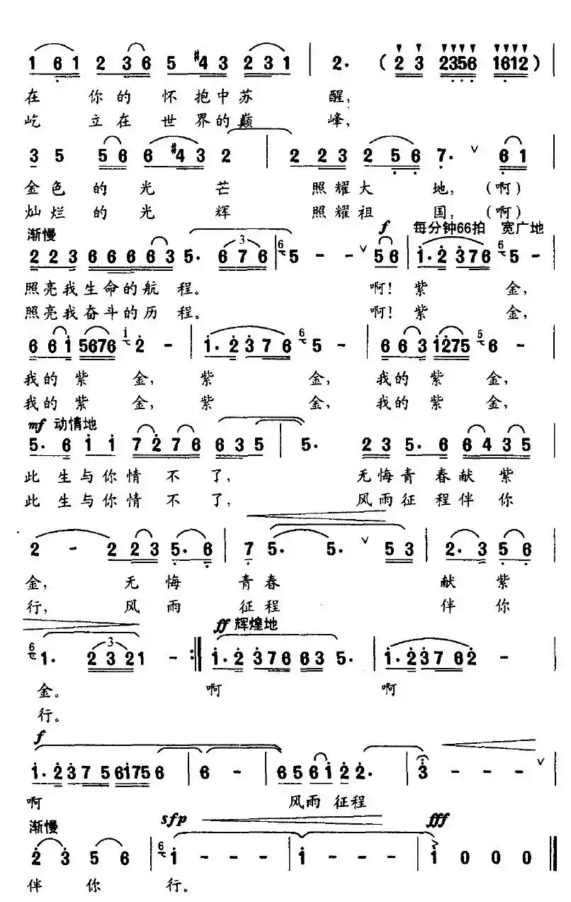 紫金不了情