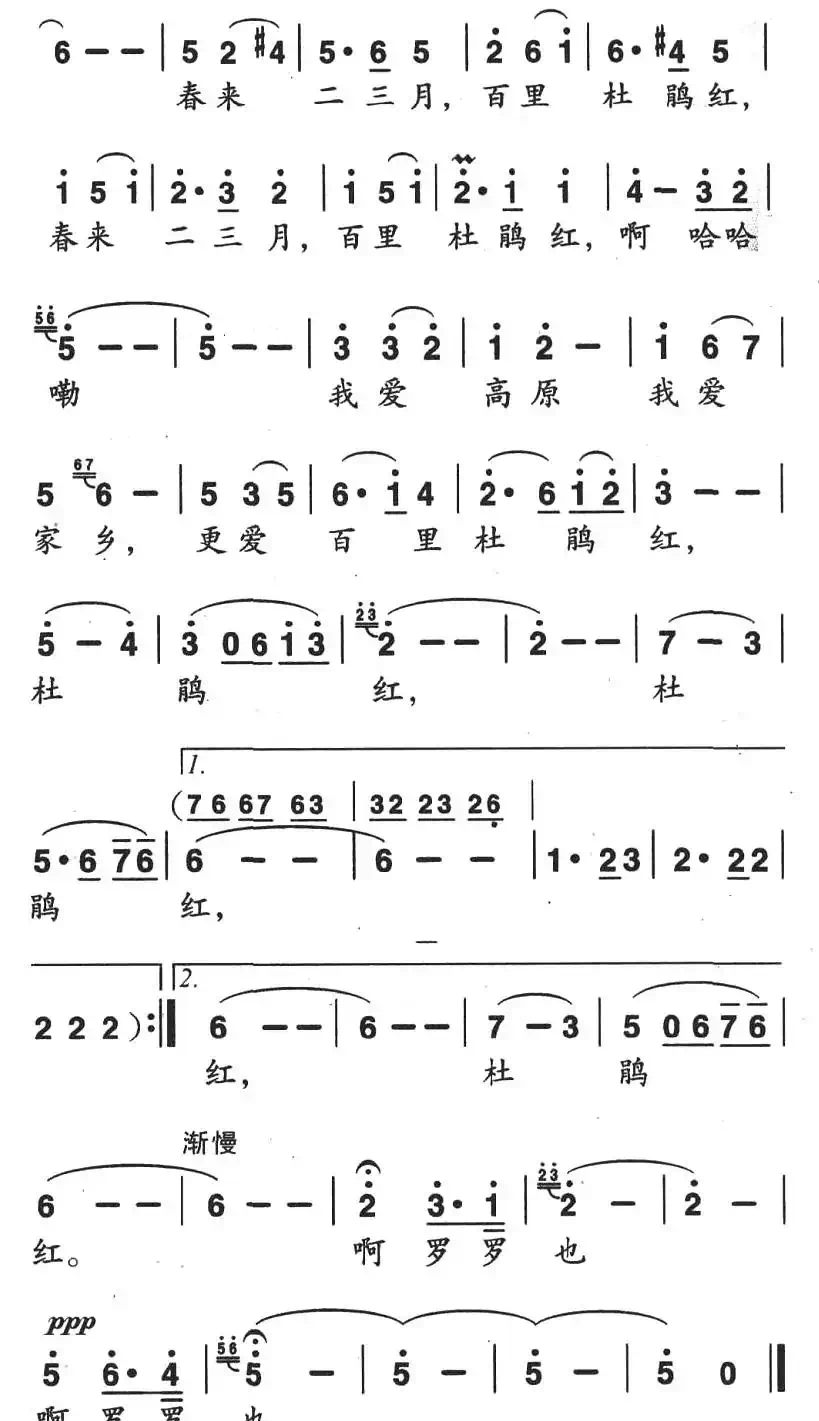 我爱家乡杜鹃红