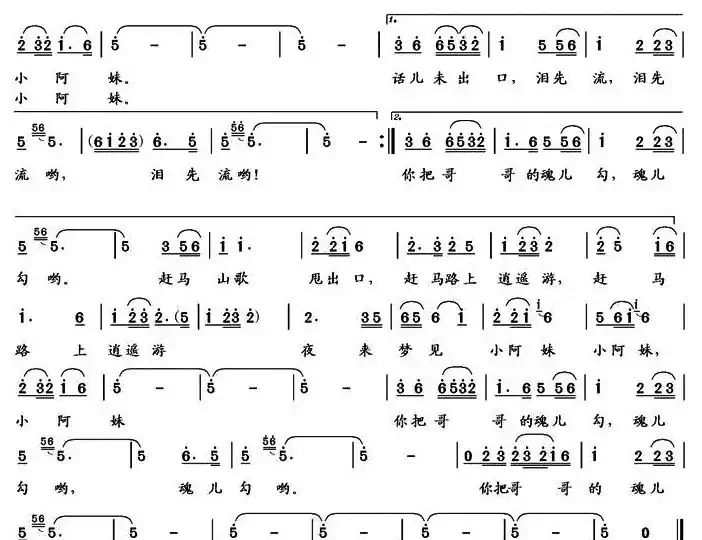 茶马情（纪录片《茶马古道》主题曲）