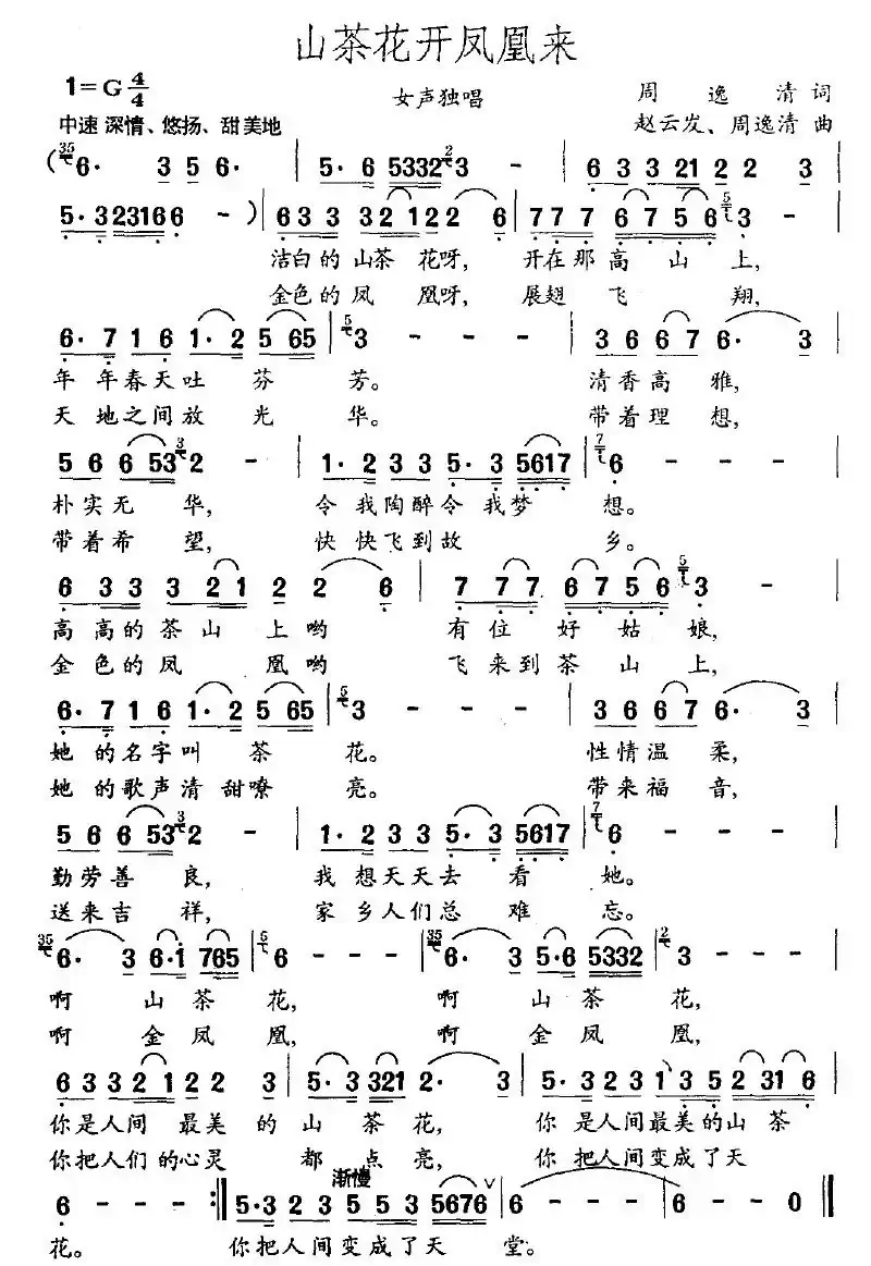 山茶花开凤凰来