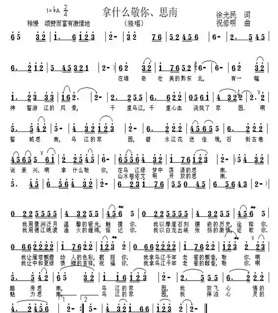 拿什么敬你、思南