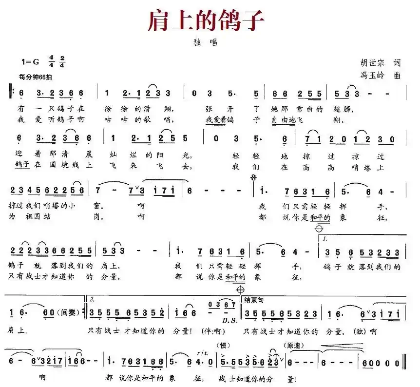 肩上的鸽子