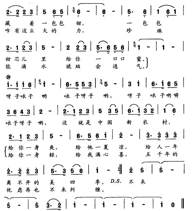 中国新农村（张藜词 舒光杰曲）