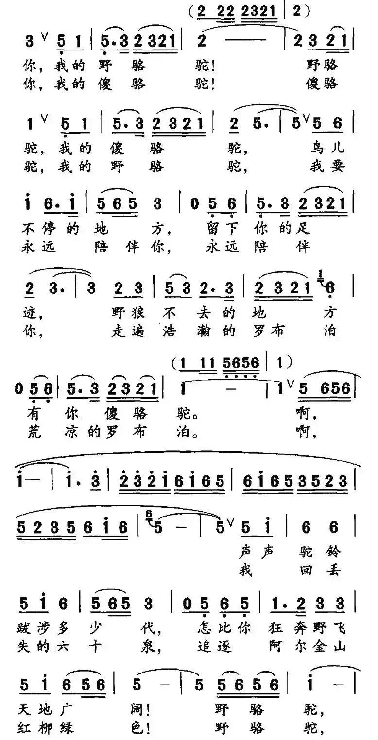 野骆驼 傻骆驼（高枫词 胡绍正曲）