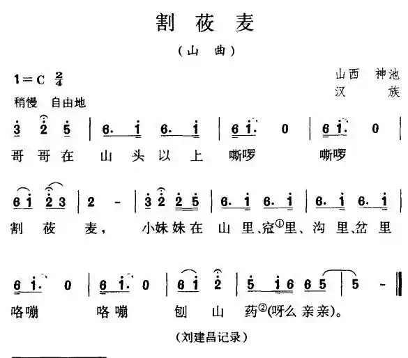 割莜麦（山西民歌）（5个版本）