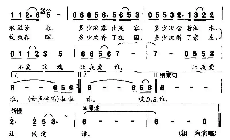 中华玫瑰