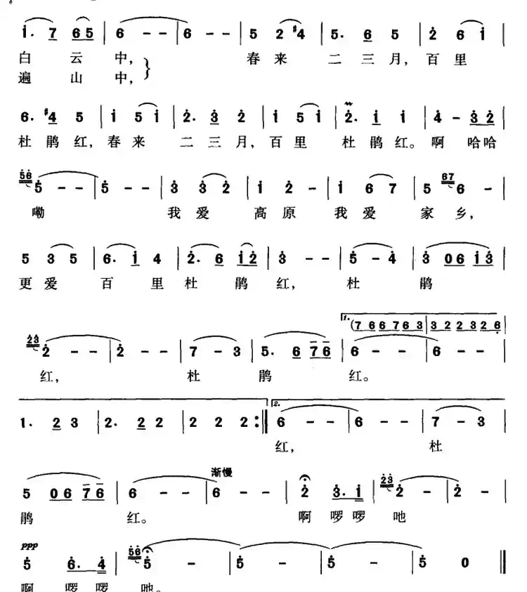 我爱家乡杜鹃红