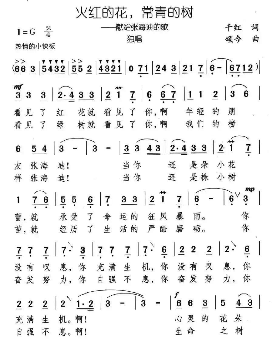 火红的花,常青的树